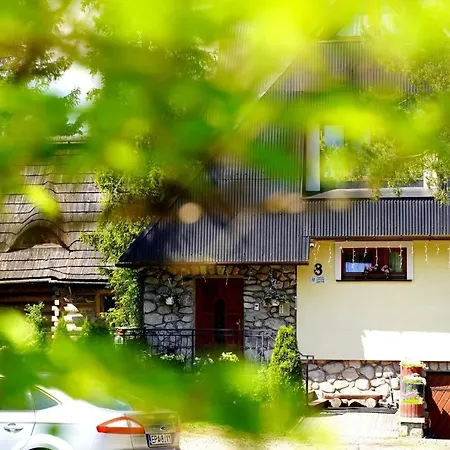 Goscinne Majerczyk *