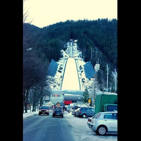 Goscinne Majerczyk *