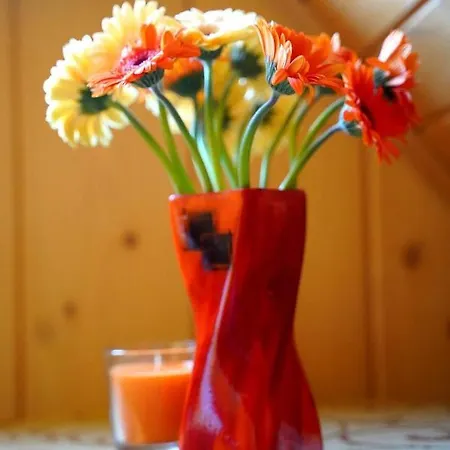 ホームステイ Goscinne Majerczyk