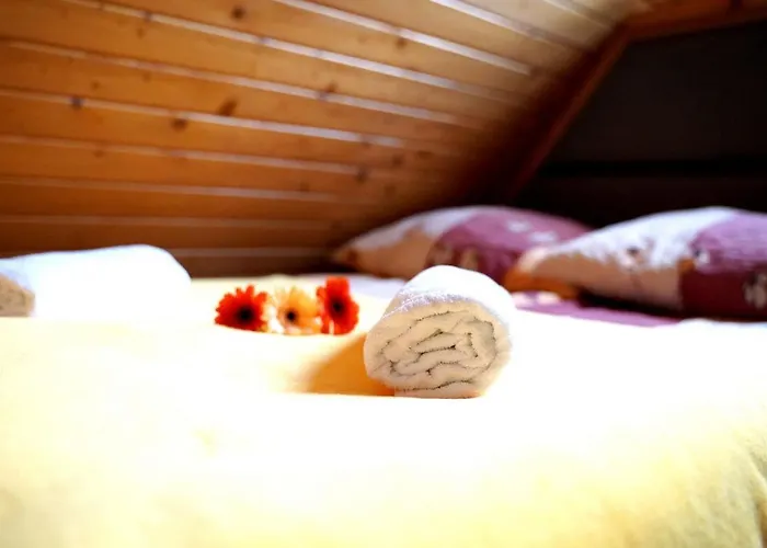 منزل للإقامة Goscinne Majerczyk زاكوباني