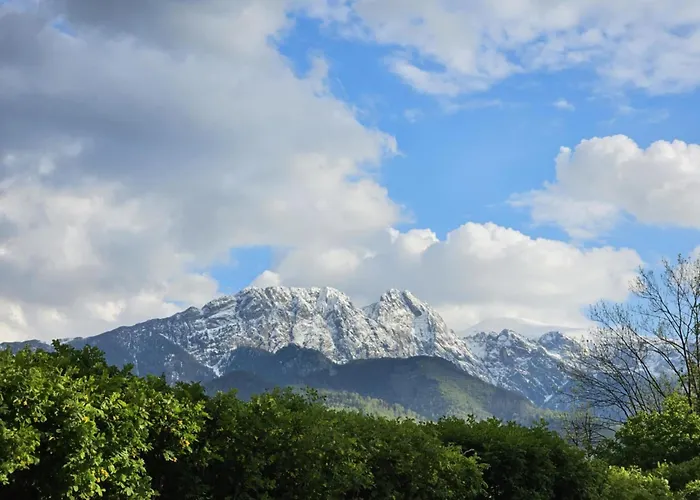 Goscinne Majerczyk Pansiyon Zakopane